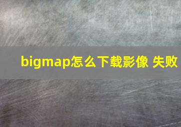 bigmap怎么下载影像 失败